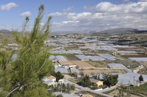 Panormica de Canara (Cehegn) [Canara]