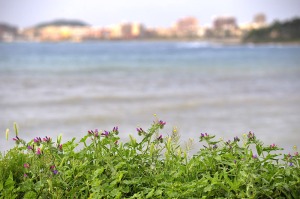 Playa de El Alamillo 