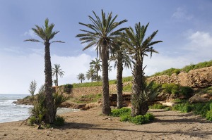 Playa de El Alamillo 