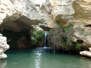 En el pasado diversas surgencias de aguas cargadas de carbonatos generaron los travertinos. Actualmente el agua que discurre los erosionan y se encajan en ellos [Usero]