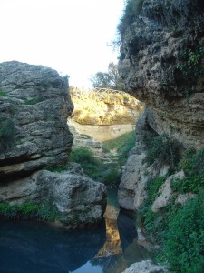 En la imagen se observa parte de la estratigrafa del Salto del Usero. Al fondo las areniscas y conglomerados basales y en primer plano, conglomerados culminados por un tramo de travertinos 