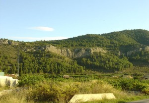 Panorámica del Cerro del Castellar formado fundamentalmente por calizas oligocenas. El escarpe observable representa un tramo de la falla de Bullas-Archena 
