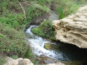 El agua genera un proceso de erosión remontante que la encaja progresivamente en los travertinos 