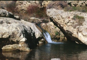 Aguas abajo del Salto del Usero, existen pequeas cascadas y pozas, aunque tras el cercado de la zona su acceso es muy complicado 