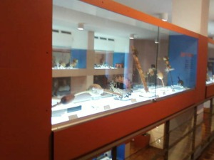 Museo de Barranda 