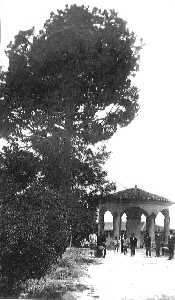 Pino de la Murta y templete, año 1933