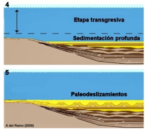 Interpretacin de la historia geolgica de la zona II: Ascenso del nivel del mar (transgresin) y sedimentacin margosa de zonas marinas ms profundas sobre los sedimentos detrticos (4)