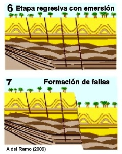 Bajada del nivel del mar (regresin) y emersin de la zona (6). Generacin de fallas por distensin (7)