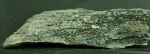 Cristales de clorita en una fractura de un esquisto. Ejemplar de la colección del Área de Geología de la Universidad de Murcia [clorita]