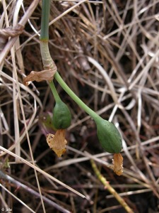 Sierra de Villafuerte