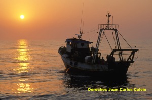 Figura 3. La pesca en el Mediterráneo tiene un marcado carácter artesanal
