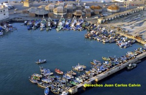 Figura 2. El puerto, además de refugio para los barcos, es el punto de control de sus actividades así como donde se suelen ubicar también la cofradía de pescadores y la lonja del pescado