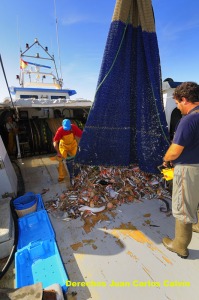 Figura 5. Vaciando el copo en la cubierta del barco