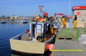 Figura 2. Embarcacin de tamao medio con varios trasmallos apilados en la cubierta y otros de repuesto acumulados al borde del muelle