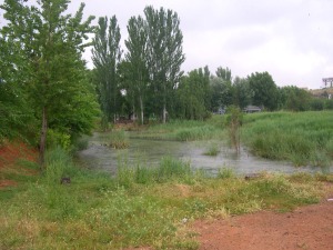 Lagunas de Ruidera