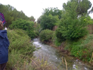 Lagunas de Ruidera