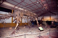 Verano de dinosaurios y animales prehist�ricos en mazarr�n