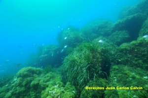 Figura 2. El paisaje roca iluminada en la isla de Adentro