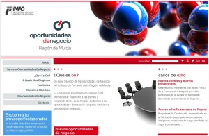 Web Oportunidades de Negocio