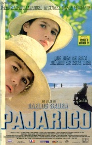 Cartel Promocional de 'Pajarico', de Carlos Saura (1997)