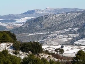 En las sierras el clima es ms hmedo y las temperaturas menores 