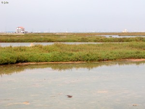 La Manga