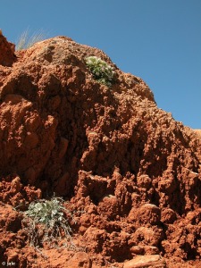 Carrascoy