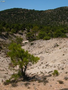 Sierra de Villafuerte