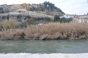 Rio Segura 