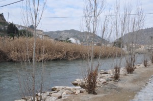 Otra vista del rio Segura 