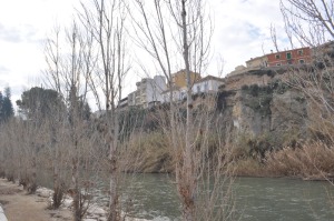 Rio arriba 