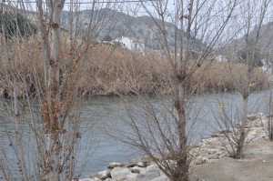 Rio abajo 