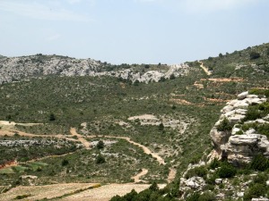 Panormica desde lo alto de las Cuevas de Zan hacia el norte. Al fondo el LIG de la Hoya del Gato. Sus calizas grises del Paleoceno estn afectadas por una importante falla 