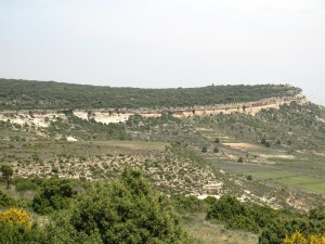 El carrascal de Bajil es otra zona anexa a las Cuevas de Zan de gran inters natural. En sus entraas guarda geoformas krsticas muy caprichosas 