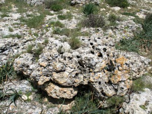 En la cima de los calares del entorno de Bajil, los procesos de disolucin en las calizas bioclsticas han dado lugar a pequeos campos de lapiaces parcialmente exhumados y a cavidades krsticas
