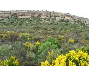 Panormica del sureste del frente de cuesta del Calar de las Cuevas, con sus peculiares oquedades de disolucin 