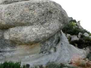 La diferente granulometra de los sedimentos aportado por el abanico se refleja en la desigual meteorizacin de las rocas 