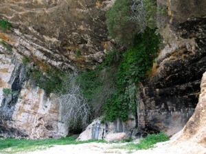 En las cuevas todava existen procesos de escorrenta, de disolucin y precipitacin de carbonatos originando diversos espeleotemas. El agua genera una buena biodiversidad y geodiversidad 