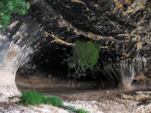 Existen muchos conductos horizontales y cilndricos por donde el agua pasaba a presin al inicio de la formacin de las cuevas 