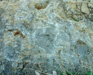 Piroclastos de andesitas calco-alcalinas potsicas del volcn del Carmol 