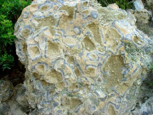 Alteraciones freato-magmticas en la roca caja del volcn de Zeneta (Murcia) 