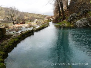 Nacimiento del río Segura en Pontones (Jaén) [humedales]
