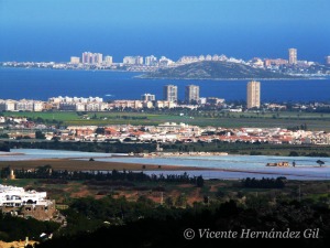 En los humedales como el Mar Menor, sometidos a gran presin, su conservacin se hace difcil 