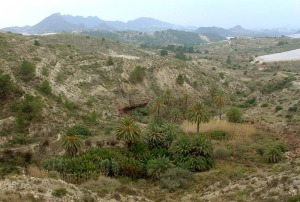Paraje de La Poza desde el mirador. A la izquierda se observa los depósitos deltaicos y parte del talud arrecifal. Hacia la derecha y abajo las arcillas rojas, que impermeabilizan la base del acuífero
