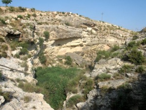 Dunas submarinas en las paredes de la rambla del Hortillo, donde tambin los bancos de corales son comunes 