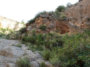 La zona es muy til para explicar la dinmica fluvial durante el Cuaternario. Grandes bloques envueltos en sedimentos de una pequea terraza de la rambla de la Canteras 