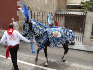 Caballo concursante de la Pea Artesano 