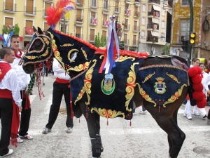 Caballo concursante de la Pea Gacel 