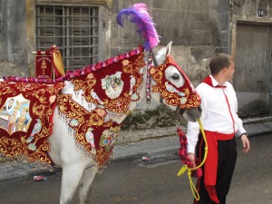 Caballo concursante de la Pea Santa Cruz 