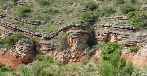 Panormica de un yacimiento de ammonites del Jursico superior del noroeste 